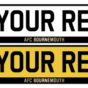 Bournemouth Logo & Colour Strip
