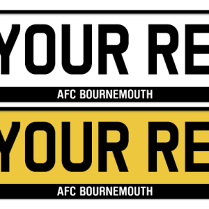 Bournemouth Logo & Mono Strip