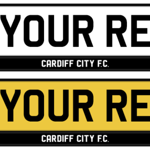 Cardiff City Logo & Mono Strip