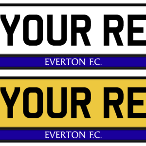 Everton Logo & Colour Strip