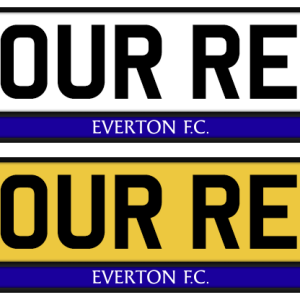 Everton Colour Strip