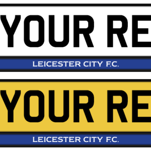 Leicester City Logo & Colour Strip