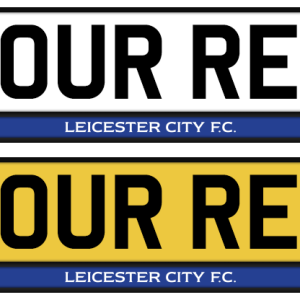 Leicester City Colour Strip