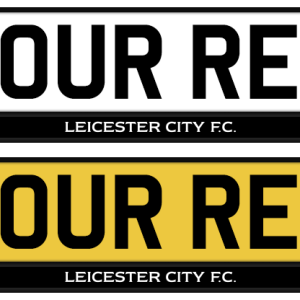 Leicester City Mono Strip