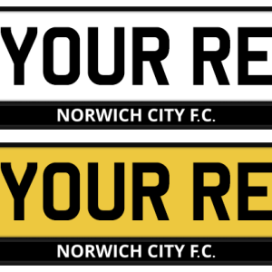 Norwich City Logo & Mono Strip