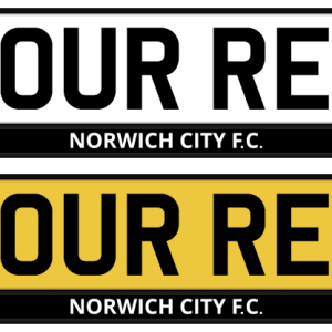 Norwich City Mono Strip