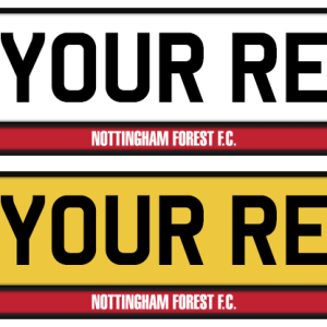 Nottingham Forest Logo & Colour Strip