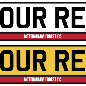 Nottingham Forest Colour Strip