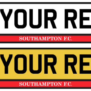 Southampton Logo & Colour Strip