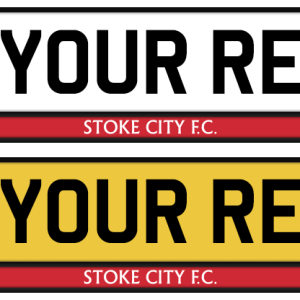 Stoke City Logo & Colour Strip