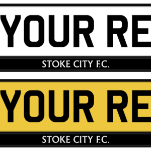 Stoke City Logo & Mono Strip
