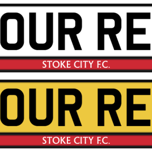 Stoke City Colour Strip