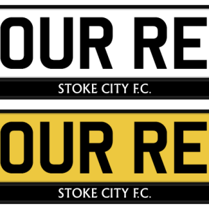 Stoke City Mono Strip