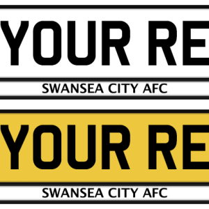 Swansea City Logo & Colour Strip