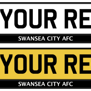 Swansea City Logo & Mono Strip