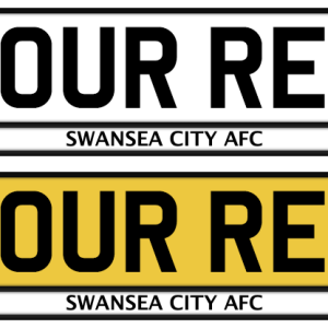 Swansea City Colour Strip