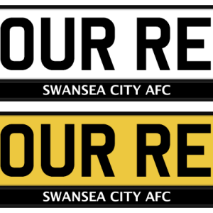 Swansea City Mono Strip