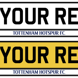 Tottenham Hotspur Logo & Colour Strip