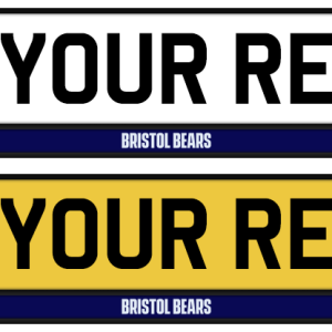 Bristol Bears Logo & Colour Strip