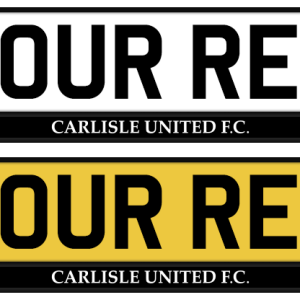 Carlisle Mono Strip